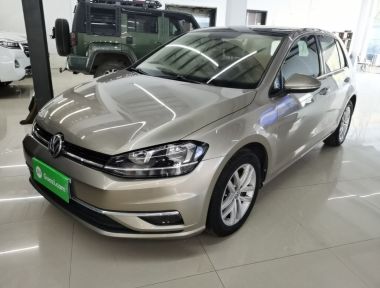Volkswagen Golf 2019 Volkswagen Golf 2019 immagine di auto