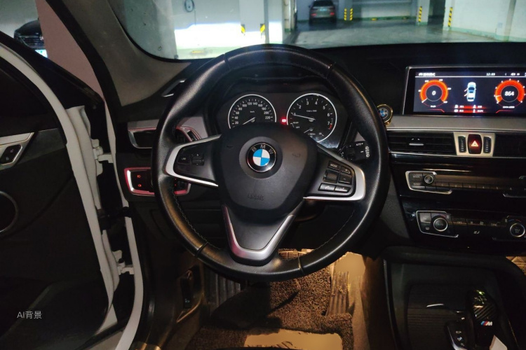 BMW X1 2016 car image #12
