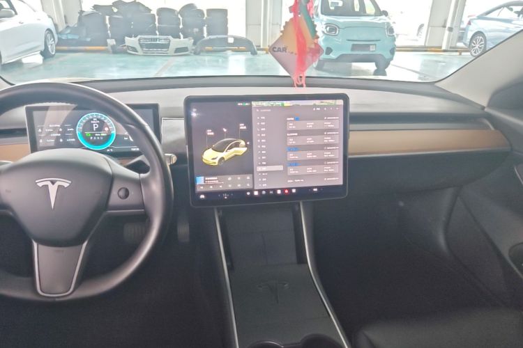 Tesla Model 3 2020 car image #13