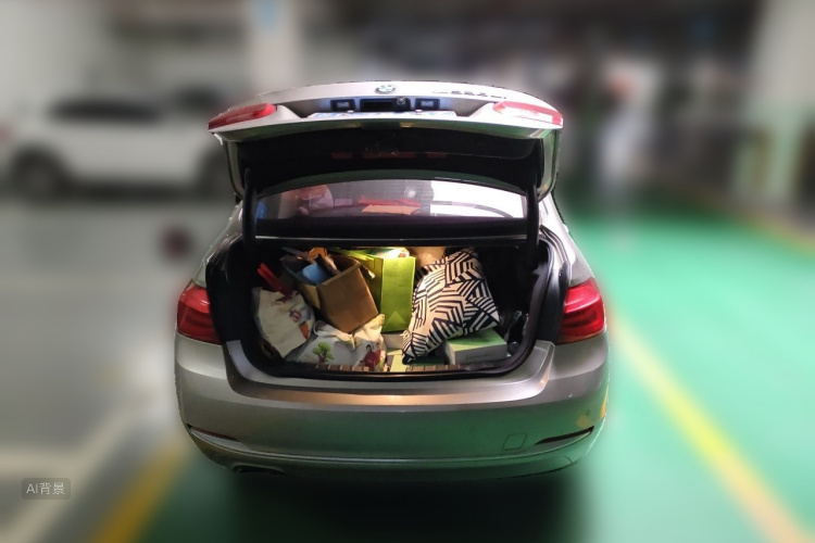 BMW 3 Series 2019 car image #21
