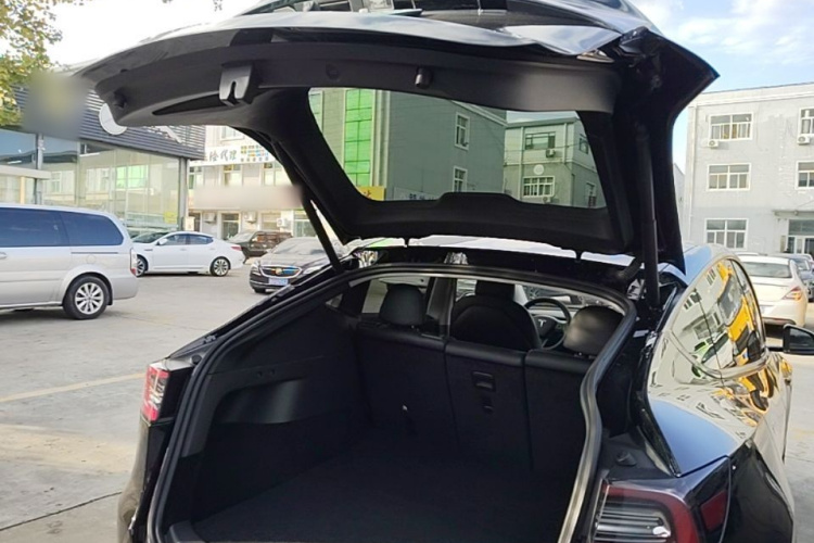 Tesla Model Y 2021 صورة سيارة #19