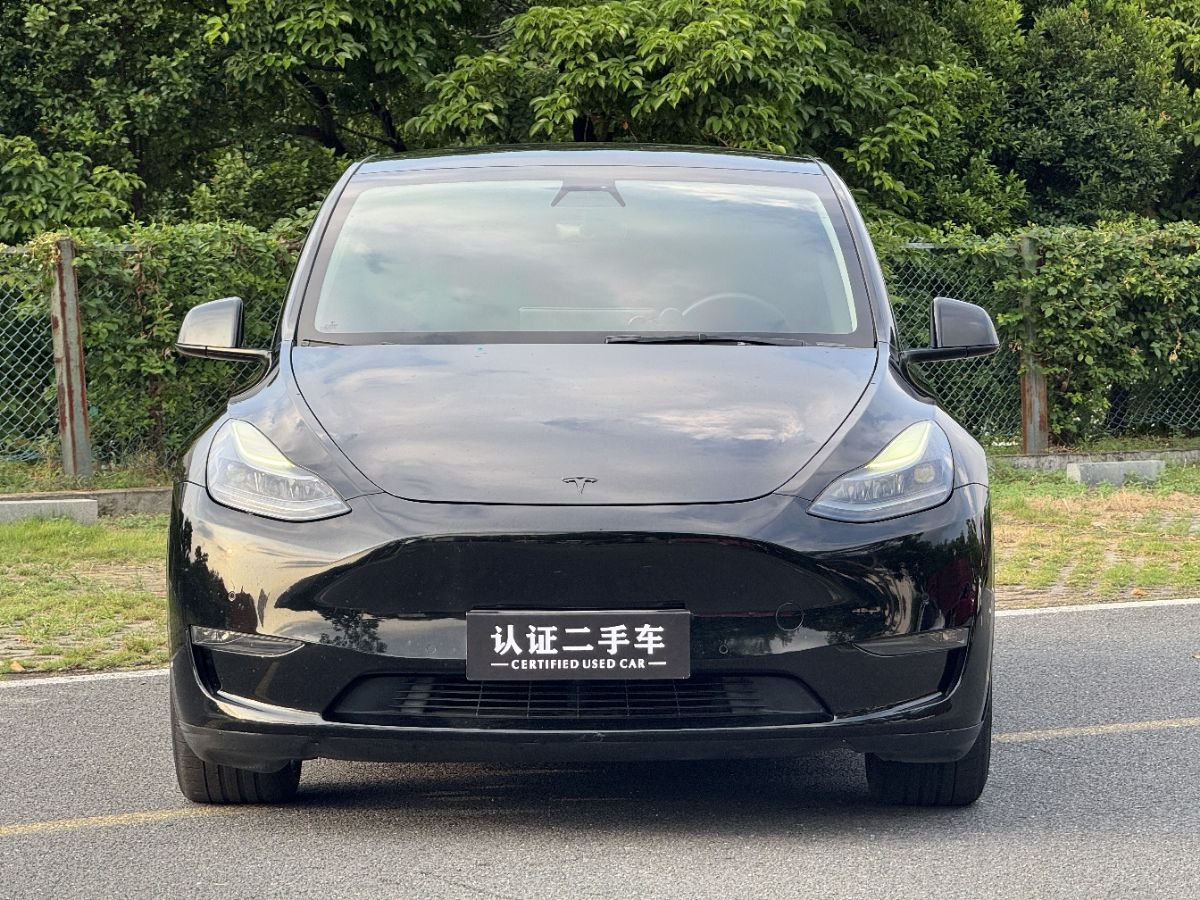 Tesla Model Y 2021 car image #2
