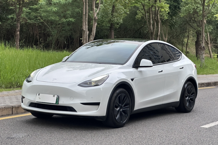 Tesla Model Y 2023 car image #2