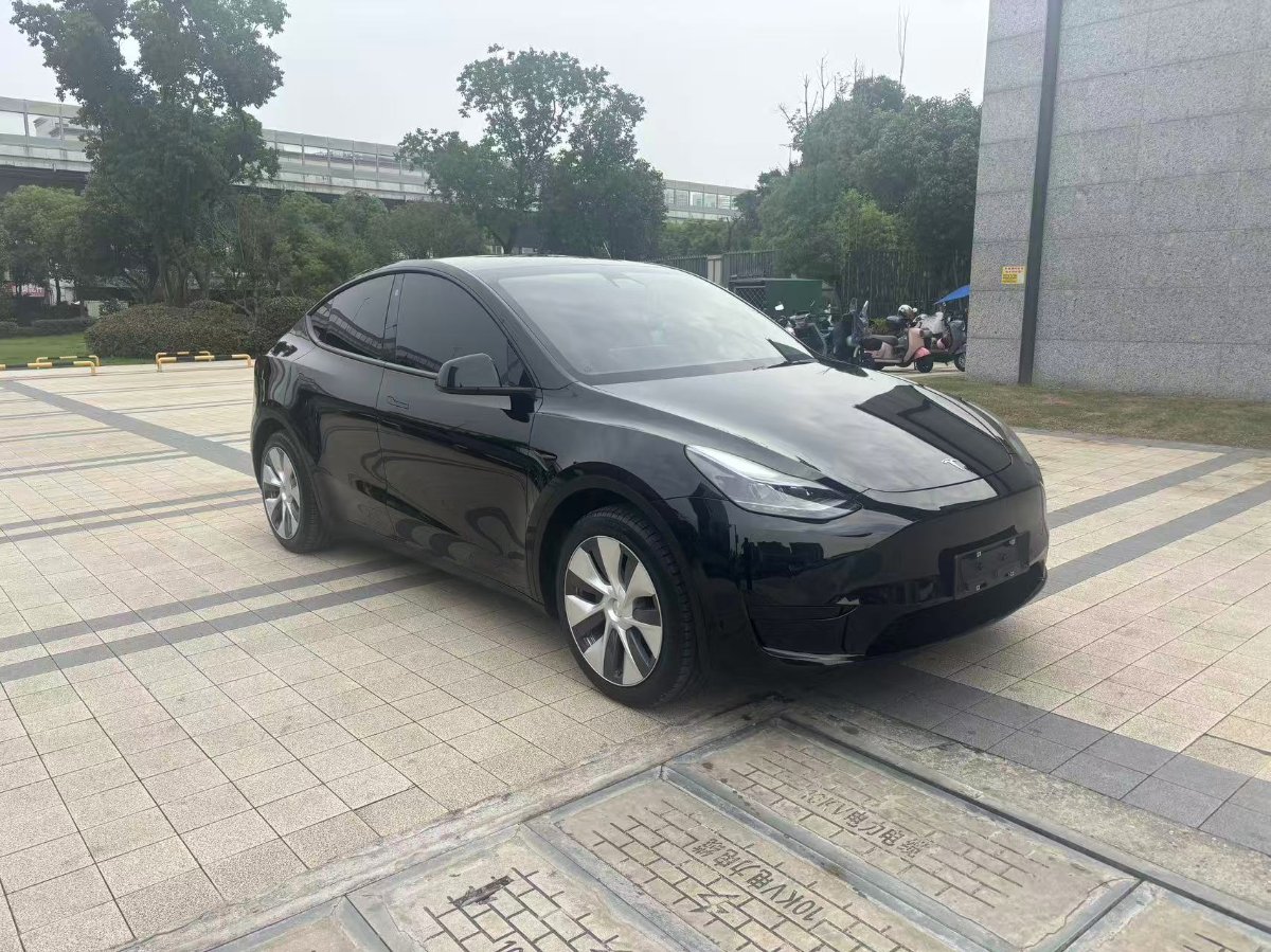 Tesla Model Y 2023 car image 