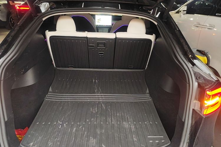 Tesla Model Y 2021 car image #19