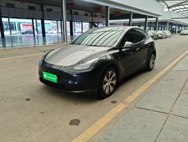Tesla Model Y 2022 car image 