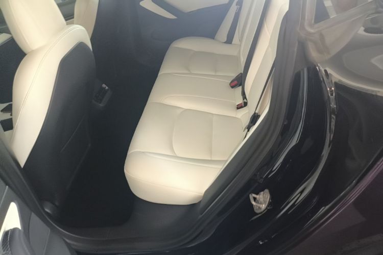 Tesla Model 3 2020 #13 Tesla Model 3 2020 car image #13