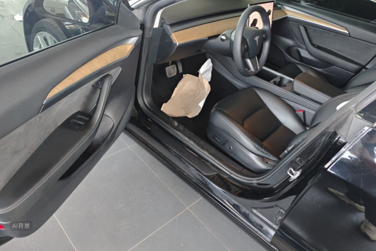 Tesla Model 3 2021 car image #18