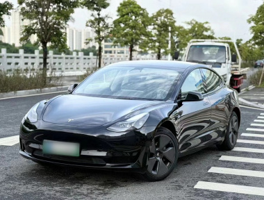 Tesla Model 3 2023 Tesla Model 3 2023 car image
