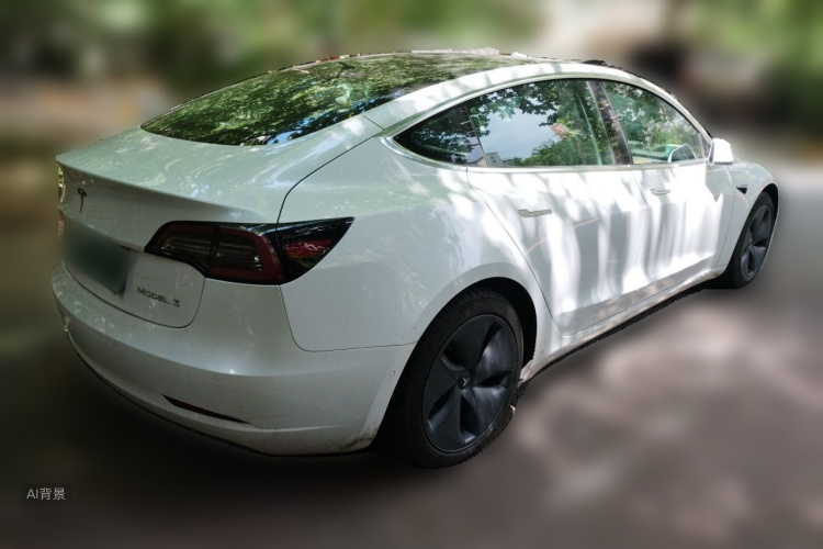 Tesla Model 3 2020 immagine di auto #7