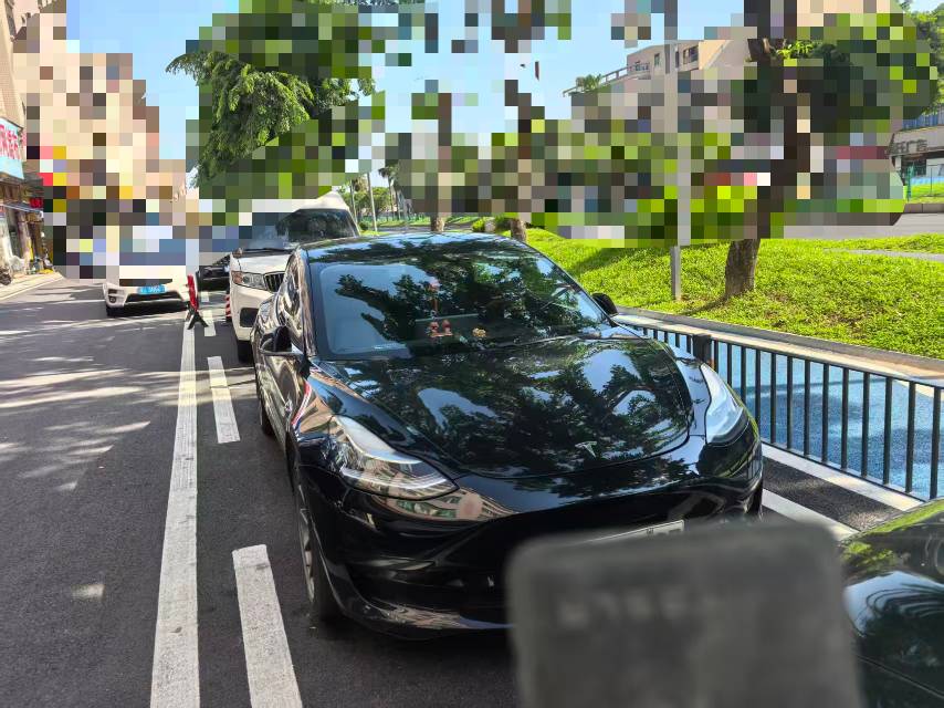 Tesla Model 3 2020 #2 Tesla Model 3 2020 car image #2