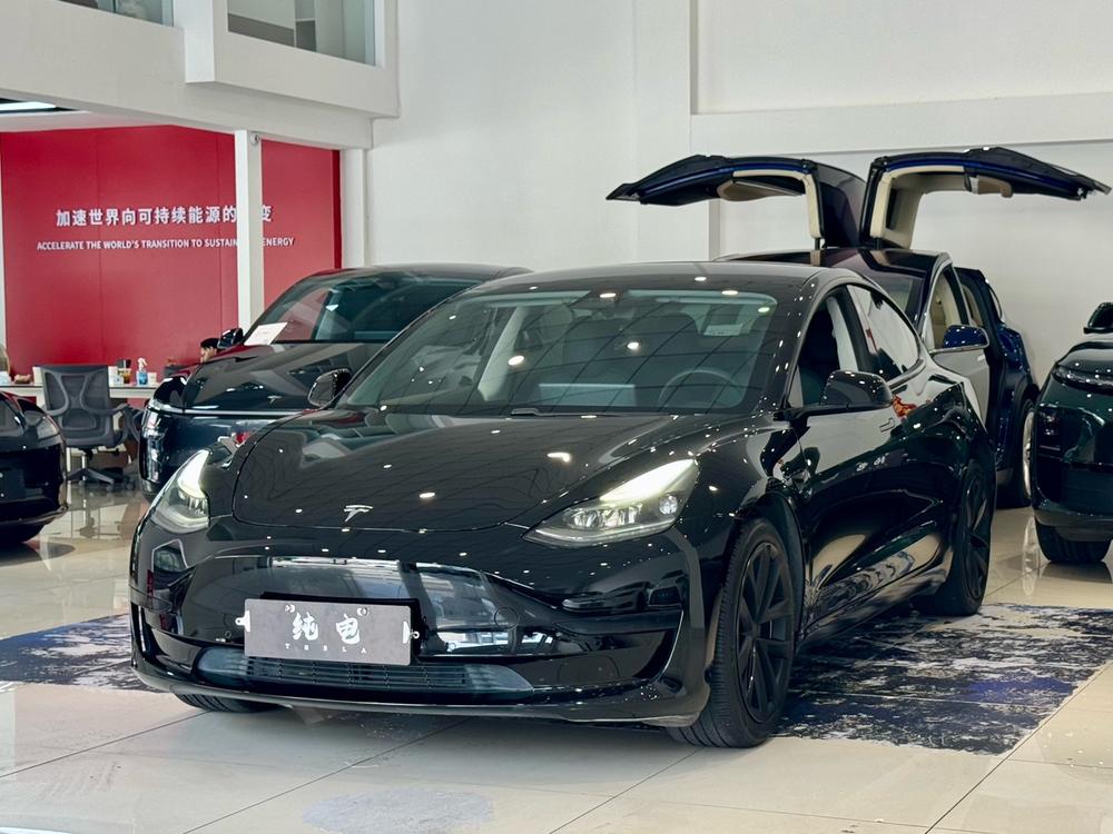 Tesla Model 3 2020 Tesla Model 3 2020 car image