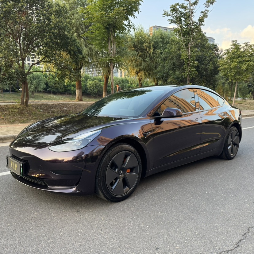 Tesla Model 3 2022 Tesla Model 3 2022 car image