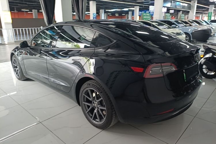 Tesla Model 3 2021 car image #5