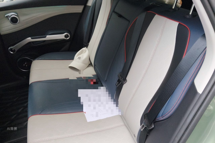 BYD Yuan Plus 2023 car image #19