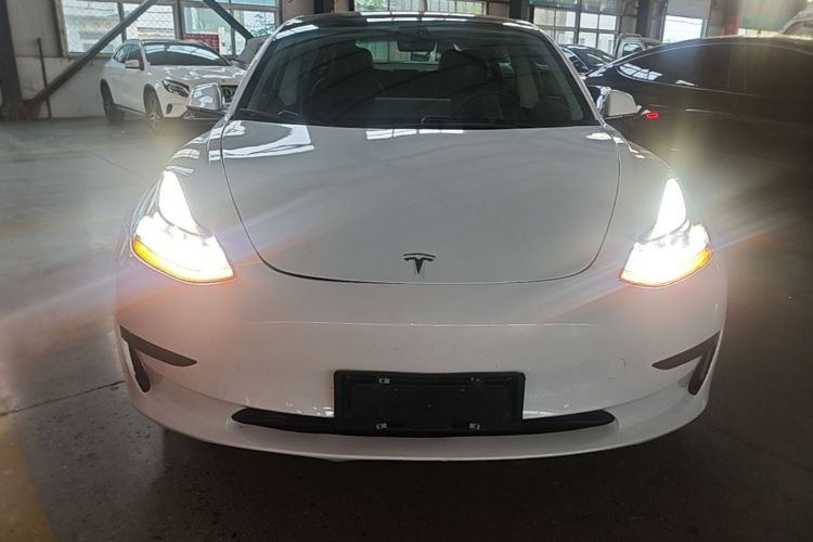 Tesla Model 3 2021 #3 Tesla Model 3 2021 car image #3