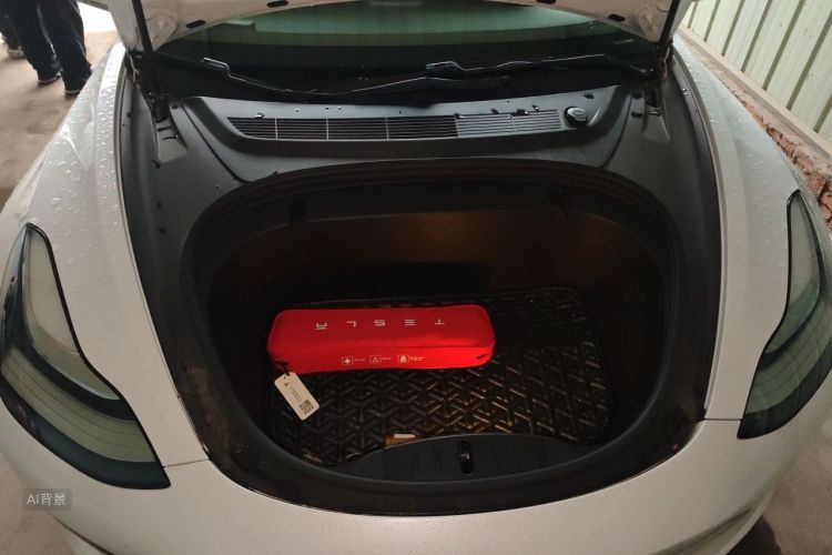 Tesla Model 3 2020 #22 Tesla Model 3 2020 car image #22