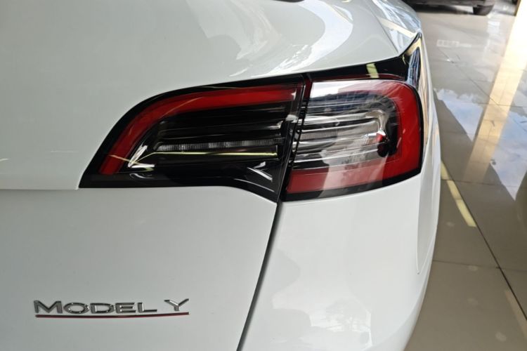 Tesla Model Y 2021 car image #8