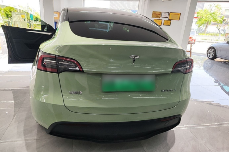 Tesla Model Y 2021 car image #6