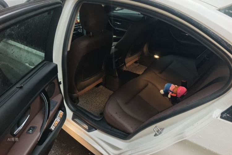 BMW 3 Series 2018 car image #19