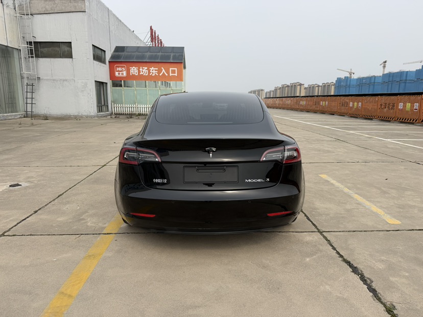 Tesla Model 3 2020 car image #8