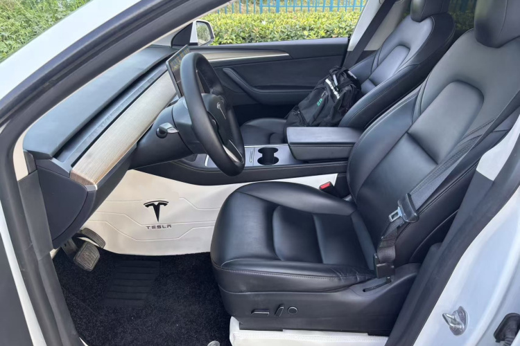 Tesla Model Y 2021 car image #15