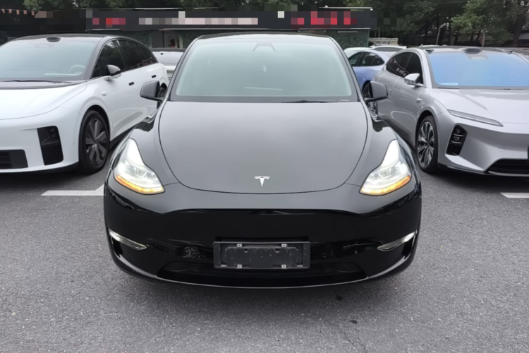 Tesla Model Y 2021 #3 Tesla Model Y 2021 car image #3