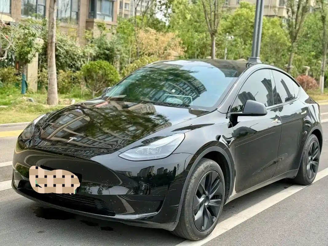 Tesla Model Y 2022 Tesla Model Y 2022 car image