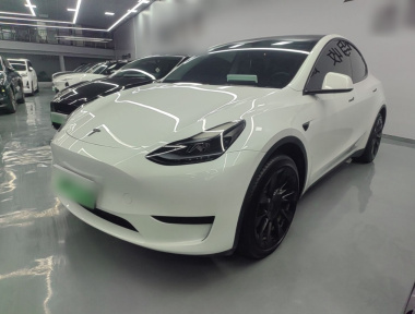Tesla Model Y 2024 Tesla Model Y 2024 car image