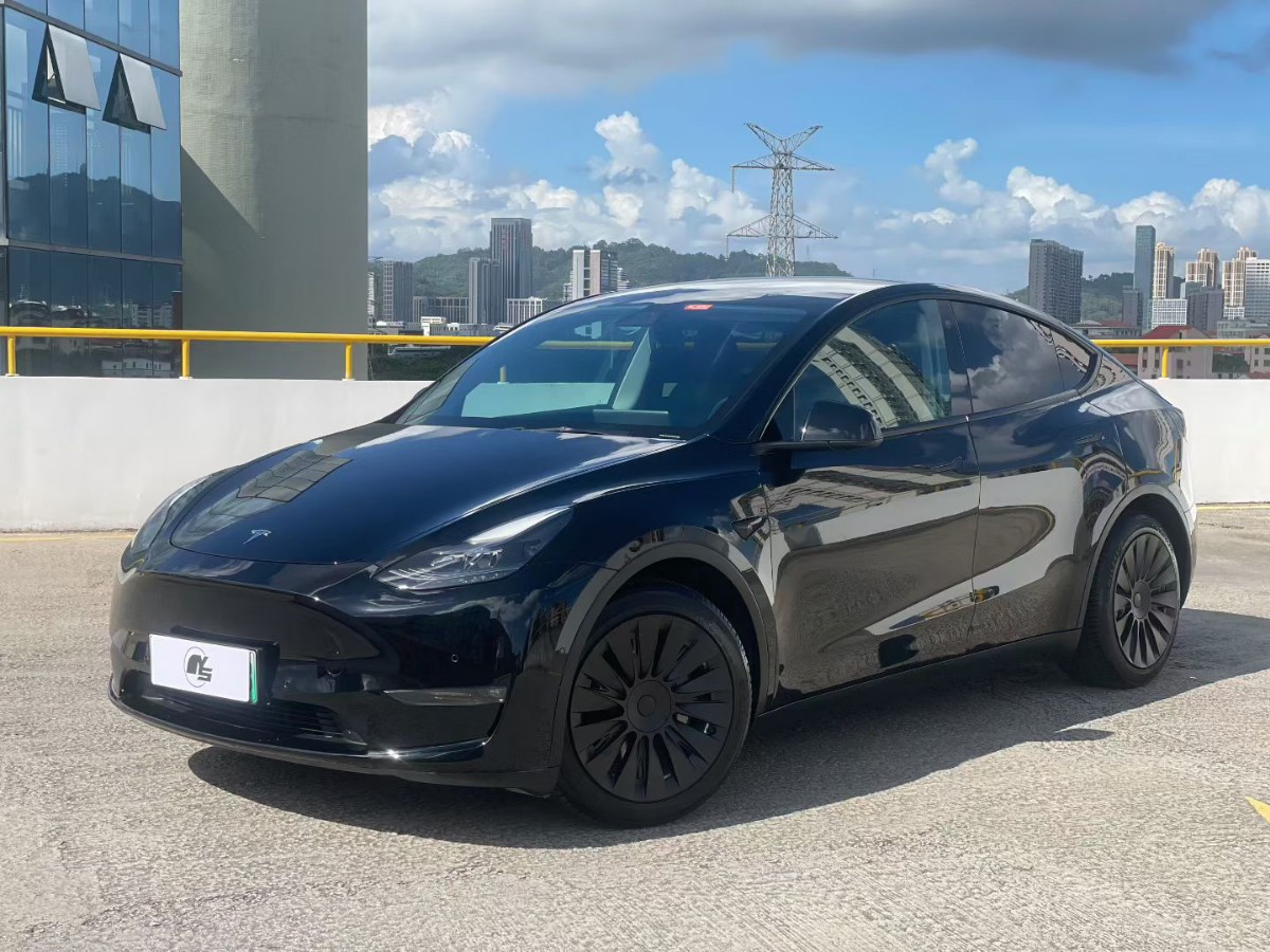 Tesla Model Y 2021 car image 