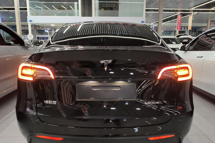 Tesla Model Y 2021 #4 Tesla Model Y 2021 صورة سيارة #4