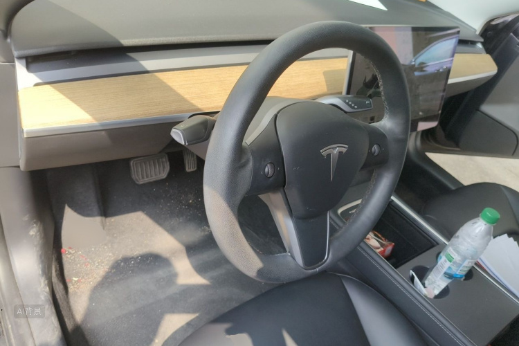 Tesla Model 3 2021 car image #12