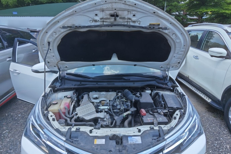 Toyota Corolla 2019 #22 Toyota Corolla 2019 car image #22
