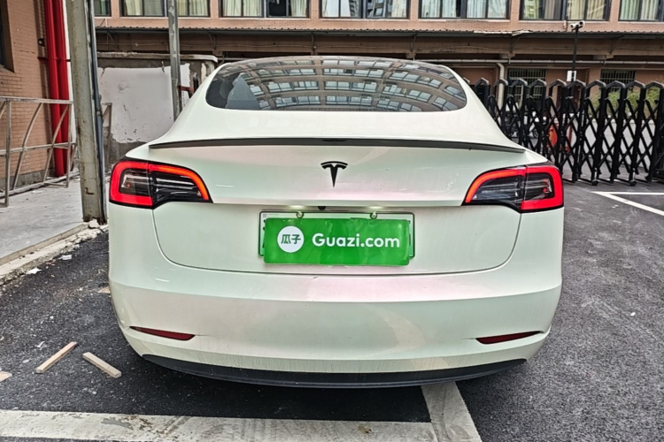 Tesla Model 3 2021 car image #6