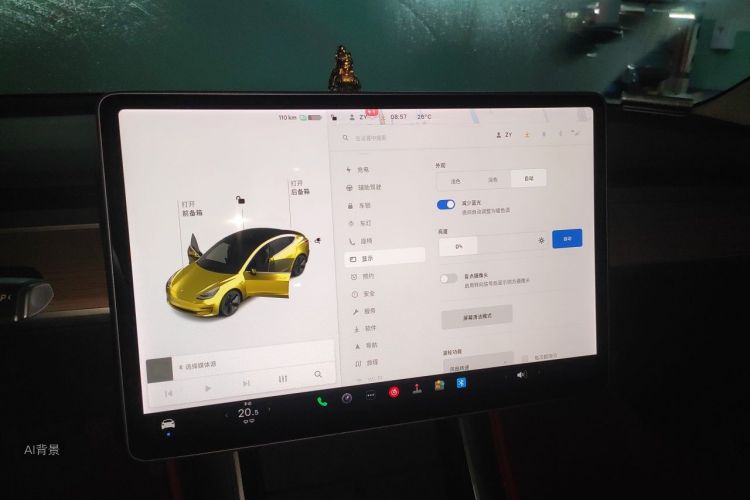 Tesla Model 3 2020 car image #13