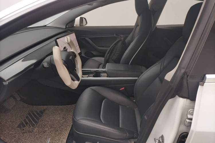 Tesla Model 3 2020 #15 Tesla Model 3 2020 car image #15