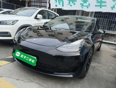 Tesla Model 3 2021 car image 