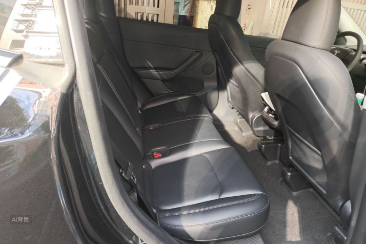 Tesla Model Y 2024 car image #19
