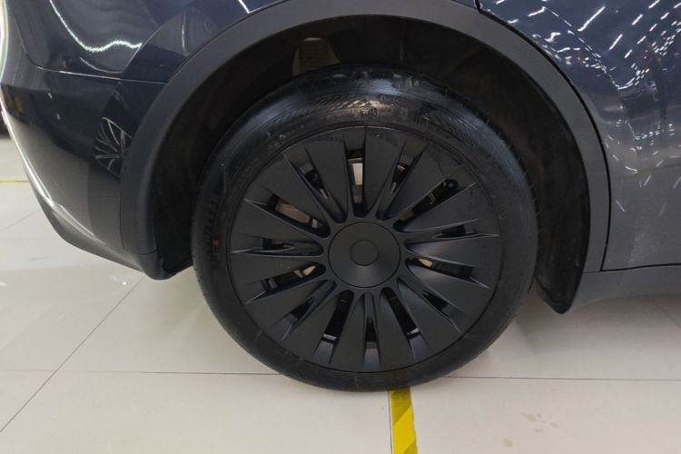 Tesla Model Y 2025 car image #10