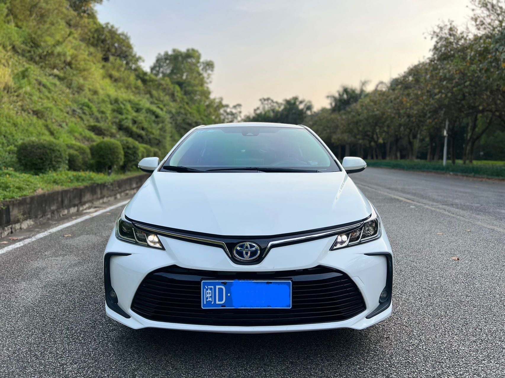 Toyota Corolla 2020 Toyota Corolla 2020 car image