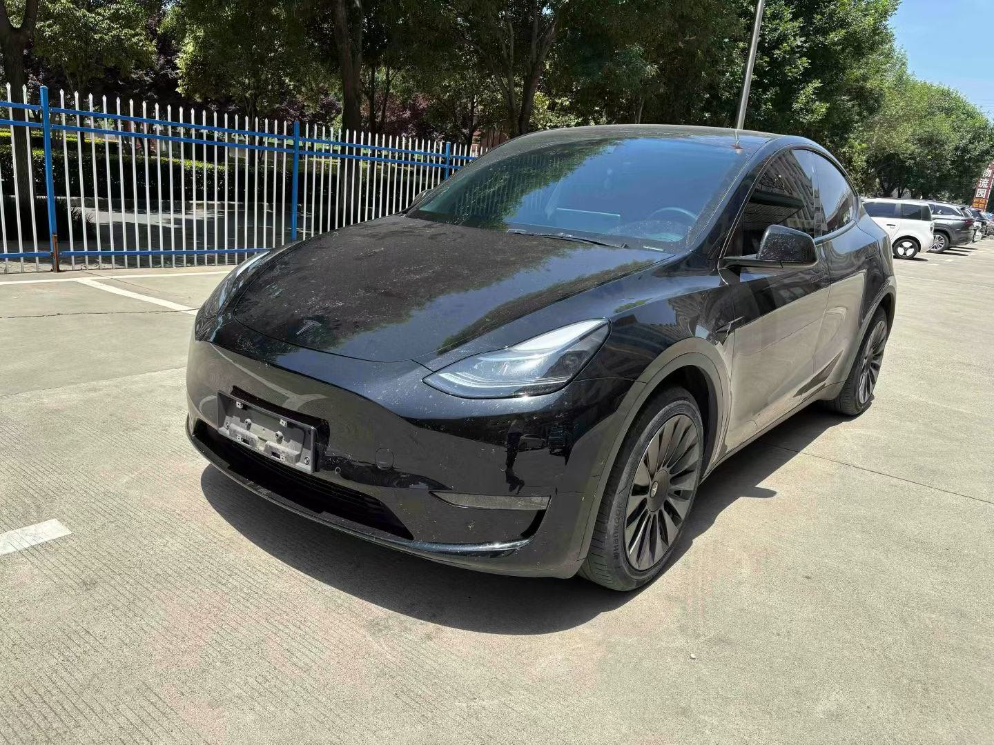 Tesla Model Y 2023 Tesla Model Y 2023 car image