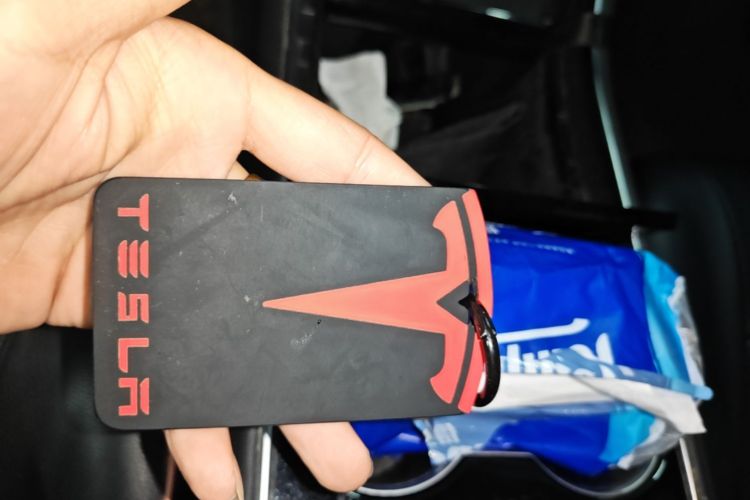 Tesla Model 3 2020 car image #9