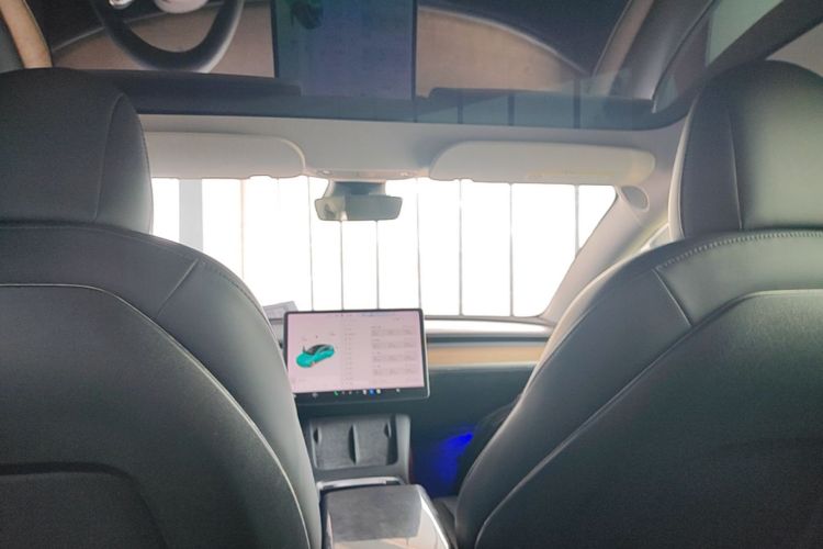 Tesla Model 3 2021 car image #18