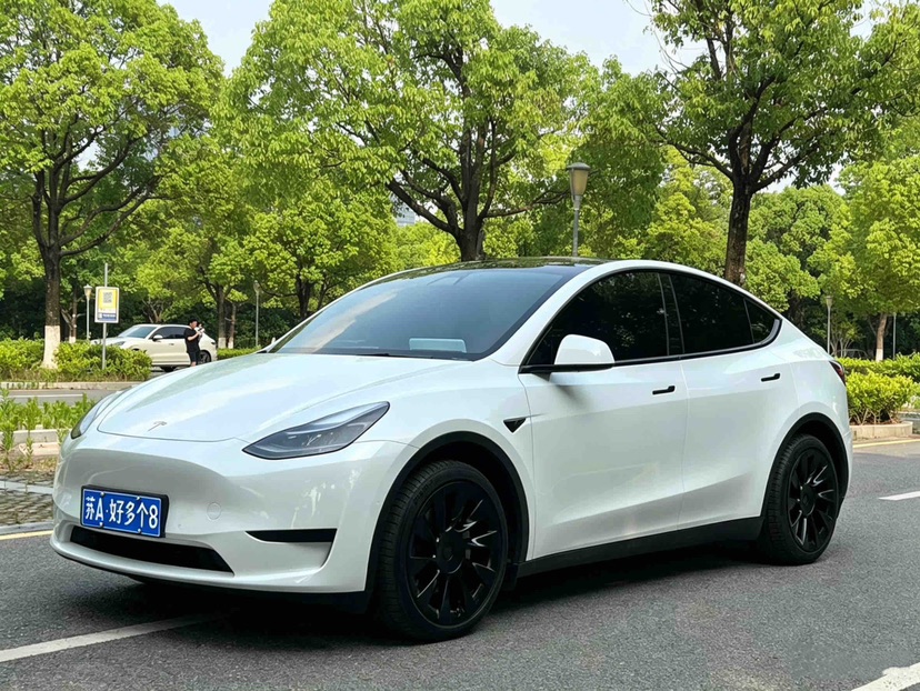 Tesla Model Y 2023 Tesla Model Y 2023 immagine di auto