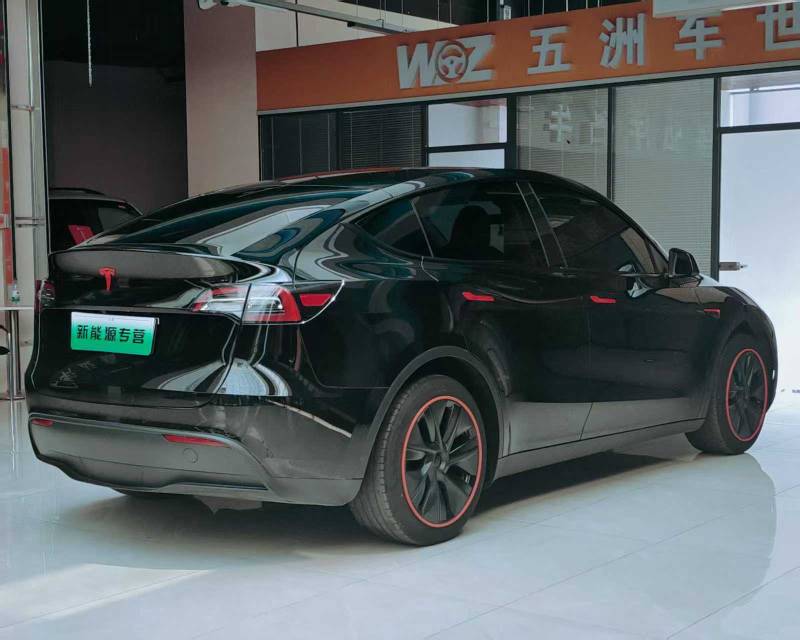 Tesla Model Y 2023 car image #6