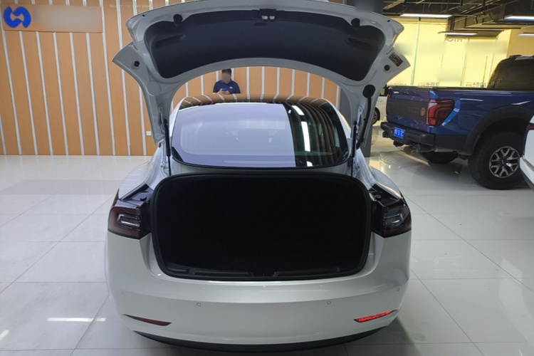 Tesla Model 3 2020 #19 Tesla Model 3 2020 car image #19