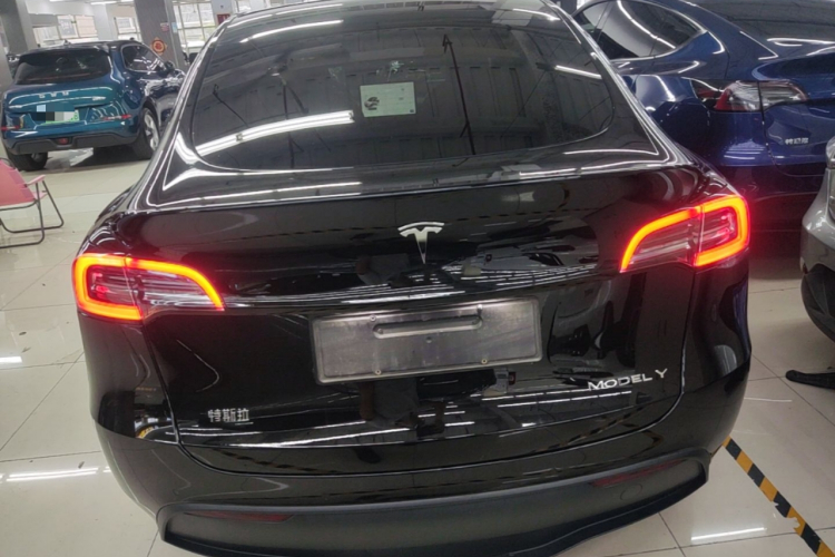 Tesla Model Y 2023 car image #6