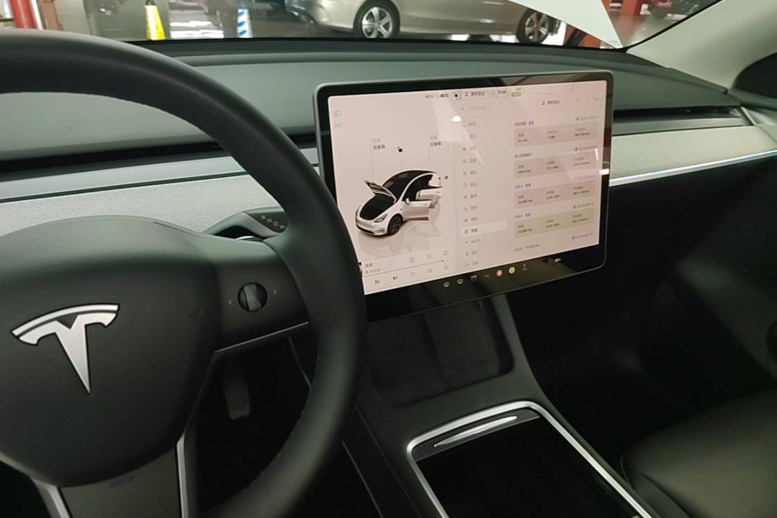 Tesla Model Y 2024 car image #16