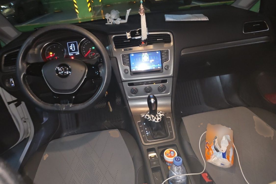 Volkswagen Golf 2016 car image #21