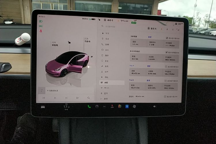 Tesla Model 3 2023 #17 Tesla Model 3 2023 car image #17